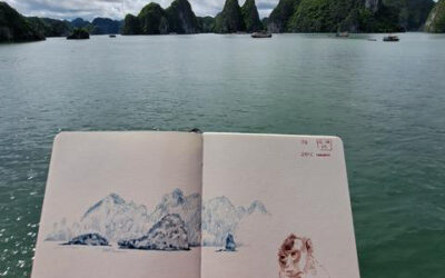 LE VIETNAM FORMAT ROAD TRIP EN FAMILLE
