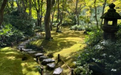 Christelle Domercq, le Japon à l’aquarelle