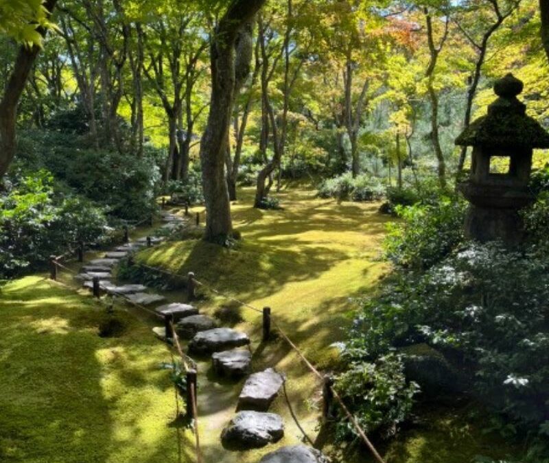 Christelle Domercq, le Japon à l’aquarelle